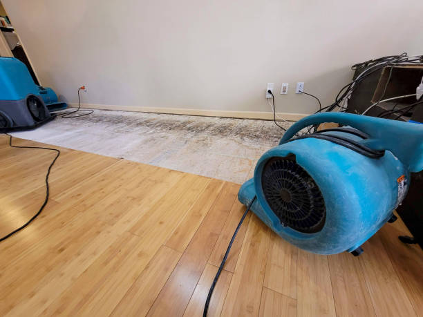 Professional Water Damage Repair technician working in Myerstown, PA